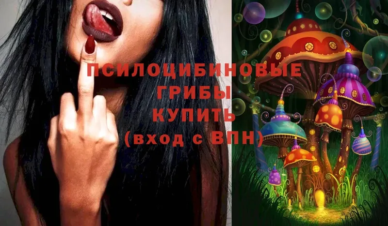 Псилоцибиновые грибы MAGIC MUSHROOMS  где купить наркоту  Лесосибирск 